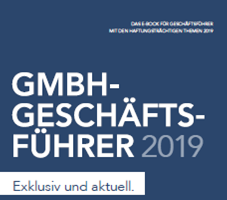 Beitrag von Dr. Rolf Stagat im E-Book "GmbH-Geschäftsführer 2019